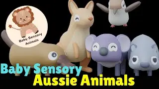 CUTE Australian Animals | Baby Sensory Animals | Dance Party with contrast Colours | Bear Sensory