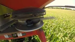 Cover Crops -- Cereal Rye