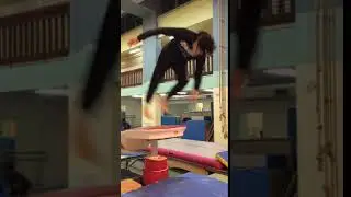 how to do a tunnel flip