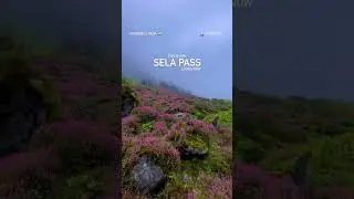 This is how Sela Pass, Arunachal, looks now #selapass #tawang #arunachalpradesh #northeastindia
