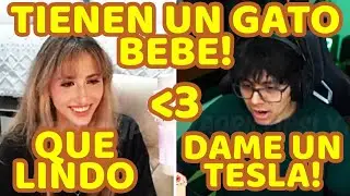 DAARICK Y MEWDEW TIENEN 2 GATOS Y LOS REPRODUCEN ENTRE ELLOS, TIENEN UN GATO BEBE, DUERMEN JUNTITOS
