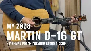 Martin D-16 GT (with Fishman Prefix Premium Blend)