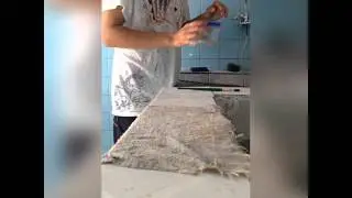 Alimento vivo criadero de gusanos de mosca