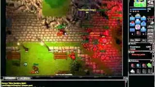 Tibia pokemon
