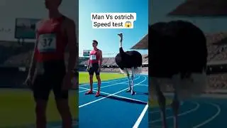 Human vs Ostrich | 400m Track Endurance Final #ai #shorts #challenge #olympic