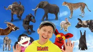 Africa Wild Animals - What Do You See? Song  | Find It Version | Dream English Kids