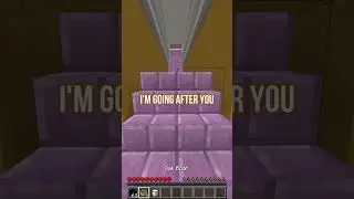 Minecraft's Craziest Villager Chase Ever...