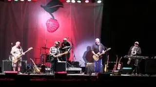 Los Lobos Entire Set at Strawberry Music Festival 2016