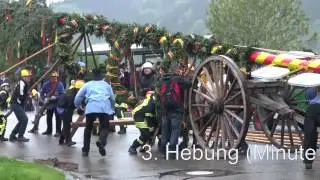 Bleibach Maibaum 2015