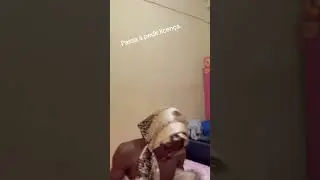 #foryou #viralvideo