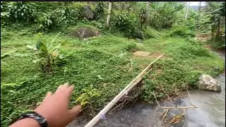 Tanah mungil buat saung/villa nempel sungai pinggir jl mobil kab Rp.12juta 