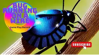 Bug running on a wire - game play record | miniclip games