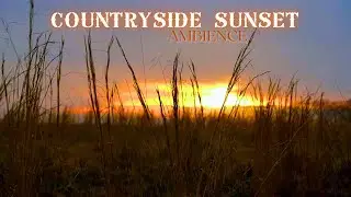 🌾 Countryside Sunset With Crickets Ambience To Study, Relaxing and Sleeping 🦗 ASMR