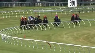 Lowland Stakes 2026 - ULTIMATE HABIT (3-летний жеребец, победитель скачек, группа 2), Трентам, Но...