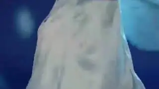 Frozen 2 2019 Anna & Elsa Disney Models