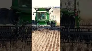 Back to the fall cutting double crop beans.  #johndeere #harvest #soybean #rubybranchfarms