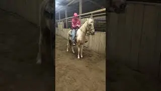 Mcnatt Farms