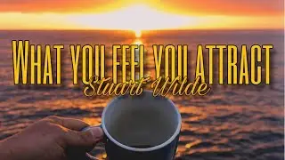 What You Feel You Attract | Stuart Wilde | Spiritual Growth