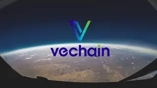 How VeChain is Transforming Supply Chains with Blockchain