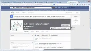 BleuPage review - Bleupage Software   New Facebook Marketing Software