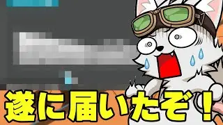 激レアアイテムが届いたぞ！【バウンティラッシュ】