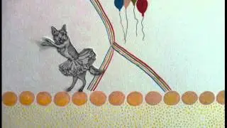 TutuDog2
