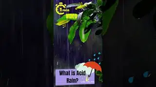 What is Acid Rain? #shorts
