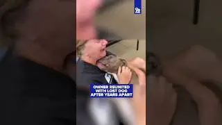 Owner reunited with lost dog after years apart