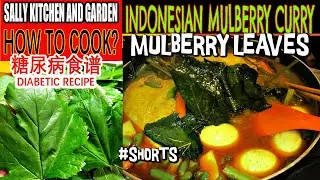 Indonesian Chicken Mulberry Curry|Vegetables Curry| QuickCrockpot Recipes|Diabetes Recipes|#shorts