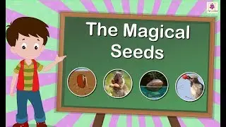 The Magical Seeds | How Seed Becomes Plant | Science For Kids | Grade 5 | Periwinkle