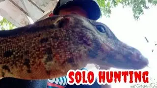 Nyanggong Biawak Super Kena Yang Masa Puber