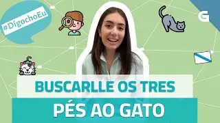 Buscarlle os tres p&eacute;s ao gato #D&iacute;gochoEu