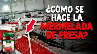Cómo Se Hace La Mermelada De Fresa? [Proceso En Fábrica]