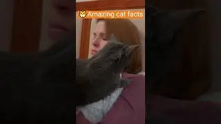 The Healing Power of a Cat's Purr: Discover the Surprising Benefits!