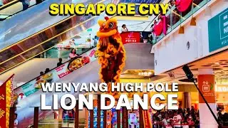 INSANE Wenyang High Pole Lion Dance 2026 🦁🔥 | Singapore CNY at East Point Mall