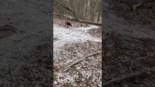 Conditioning recall &ldquo;Hustle&rdquo; - High Park