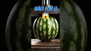 Will Frozen Watermelon SHATTER? (-196&deg;C Experiment) 😱