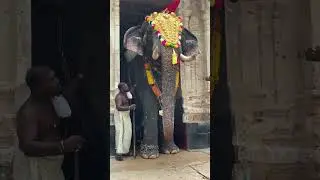 Kidilam #shorts #aanapremi #youtubeshorts #viralshort #viralvideo #poorapremi