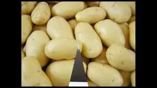 30kg potato chips machines/Small potato chips vending business