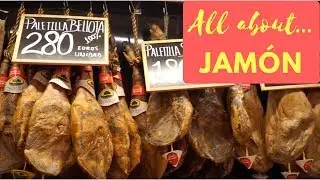 All About JAMÓN || Everything you need to know about Spanish ham!