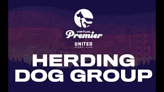 UKC Virtual Premier Total Dog Challenge: Herding Dog Group