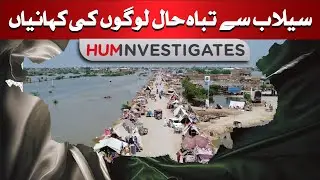 Displaced Communities, Destroyed Crops: Stories from the Flood Victims | HUM Investigates