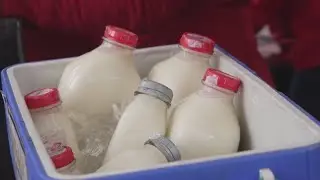 &lsquo;Our milk is special&rsquo;: Lady-Lane Farm produces unique dairy products