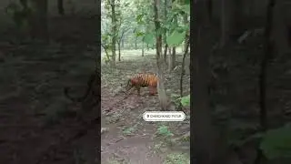 chichkhel taluka patur jilha akola