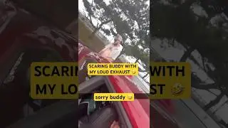 SCARY SUPERCHARGED SS 1LE SUPER LOUD! 🤣💀🔥 #camaro #explore #supercharged #fast
