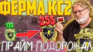 ГЕЙБ ДУШИТ ФЕРМЕРОВ КС2!