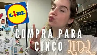 COMPRA PARA 5 EN LIDL 💸🛒🛍️ | COMPRA FAMILIA NUMEROSA | NIAH EME