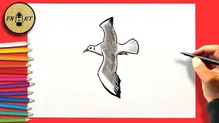 How to draw a seagull flying step by step easy