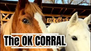 The OK CORRAL 