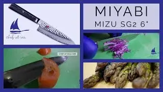 Really Sharp Knife - Miyabi Mizu SG2 6